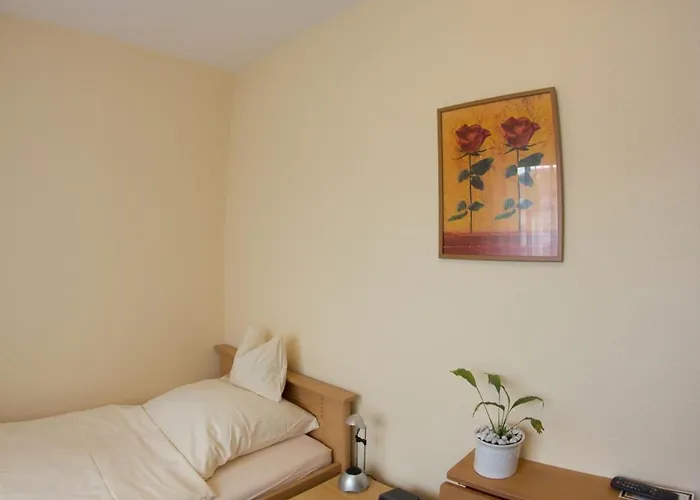 Hotel Restaurant Krone Nassau (Rhineland-Palatinate)